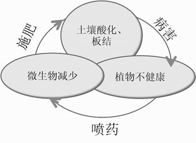 化肥不等于科學(xué)，請(qǐng)客觀評(píng)判！